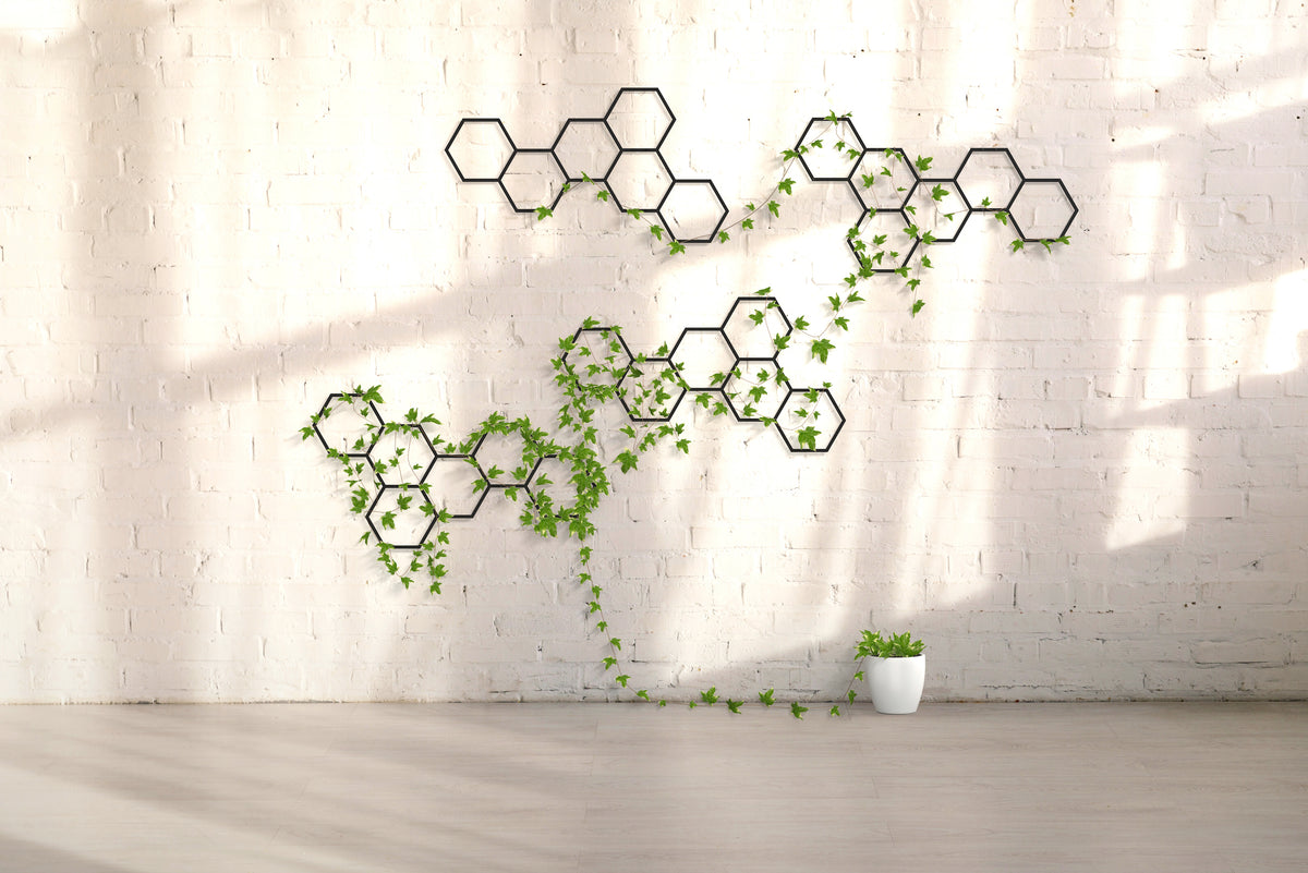 Honeycombs Wall Hanging Set of 4