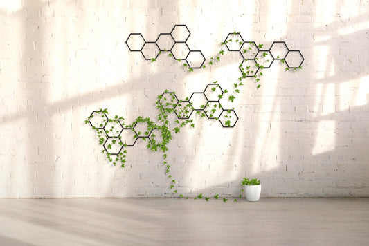 Honeycombs Wall Hanging Set of 4