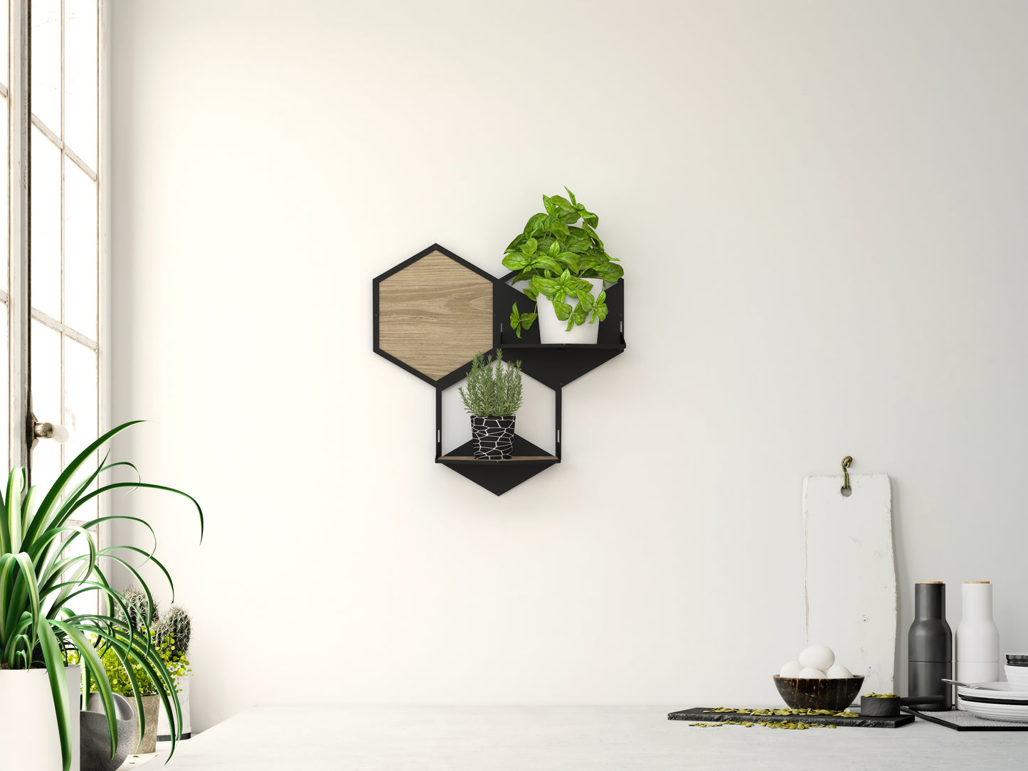Wall Plant Holder